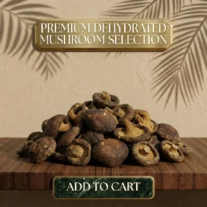 Premium Dehydrated Mushroom Selection