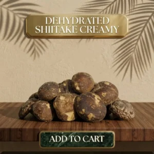 Dehydrated Shiitake Creamy